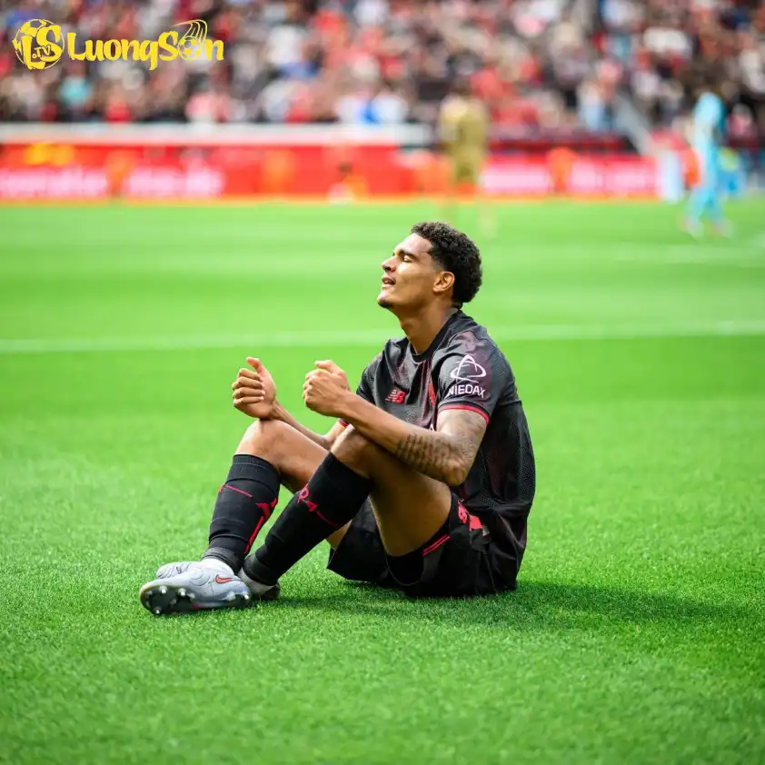 Màn ăn mừng xúc động của Quansah